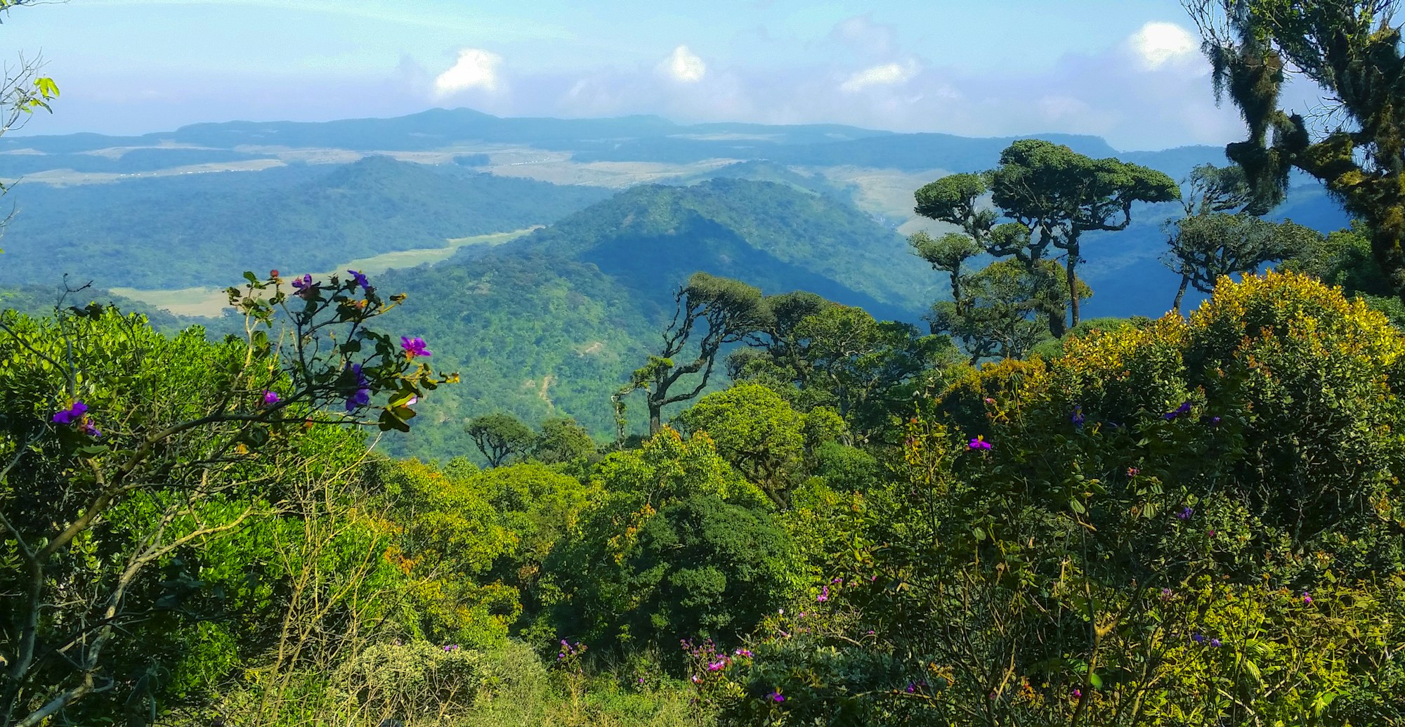 A cliff edge dropping into cloud on the Horton Plains plateau